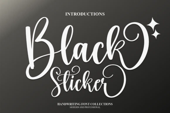 Black Sticker: The Script Handwritten Font for Modern Web Design