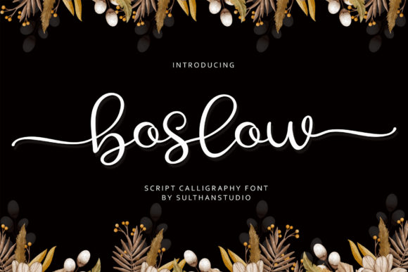 Boslow: A Playful Script Handwritten Typeface for Brand Identity