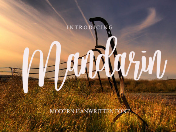 Mandarin: The Elegant Script Font for High-Impact Brand Design