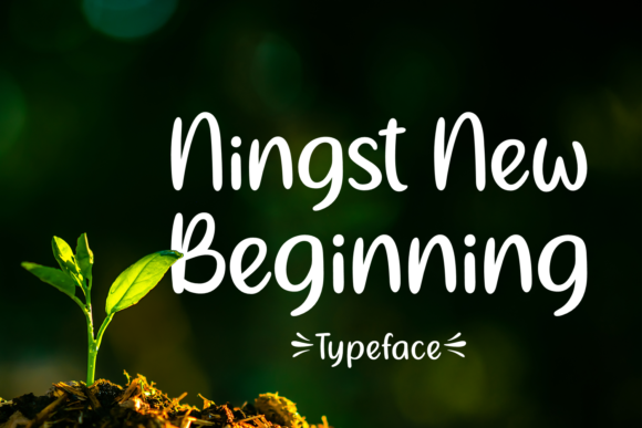 Ningst New Beginning Typeface for Elegant Handmade Branding